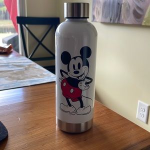 Disney Williams Sonoma water bottle
